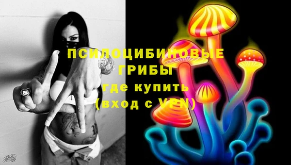 крисы Новозыбков