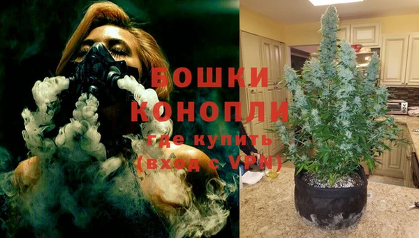 альфа пвп Новодвинск