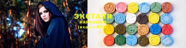 крисы Новозыбков