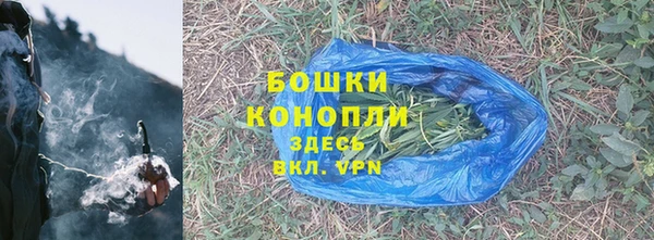 крисы Новозыбков