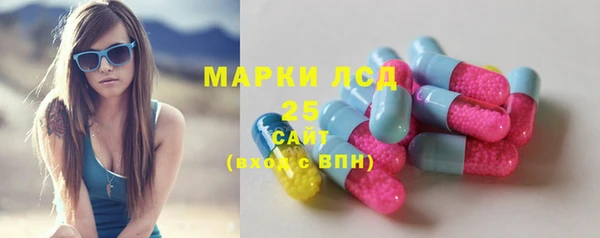 крисы Новозыбков