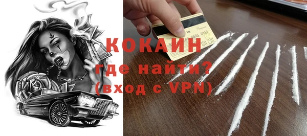 крисы Новозыбков