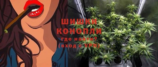 крисы Новозыбков