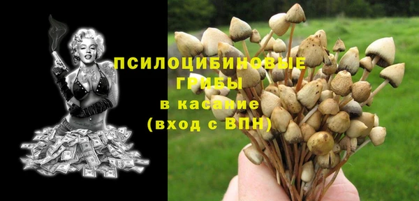 ешки Абинск