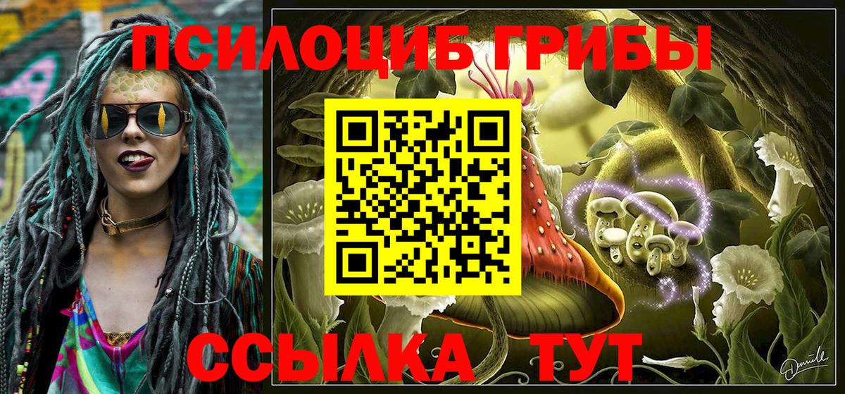 Псилоцибиновые грибы GOLDEN TEACHER  Вход с VPN  Псилоцибиновые грибы мицелий  Ялуторовск 